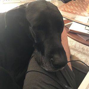 Meet your Posher, Guy